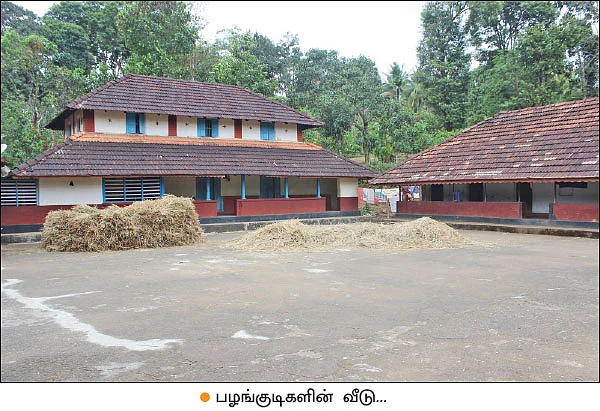 வயநாடு: பாரம்பர்ய நெல் ரகங்களை மீட்டெடுத்த பழங்குடிகள்!