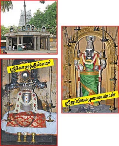 ஆரோக்கியம் அருளும் ஆலய விருட்சங்கள் !