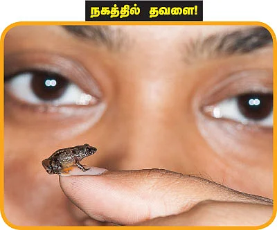 சுட்டி ஸ்டார் நியூஸ்