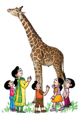 மாயா டீச்சரின் மந்திரக் கம்பளம்