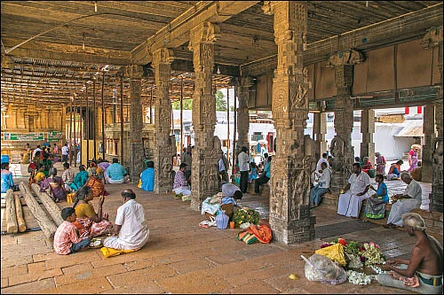 முதல் கன்று... கம்பத்து பெருமாளுக்கே! - கல்லங்குறிச்சி அற்புதம்