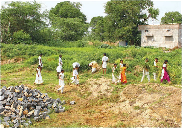 உழவாரப் பணி செய்வோம்! - 3 - குரங்கணில் முட்டம்: நல்லது நடந்தது!