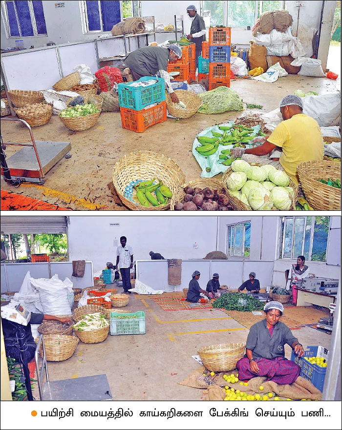 விதை முதல் விளைபொருள் விற்பனை வரை...வழிகாட்டும் ஓசூர் டி.வி.எஸ் நிறுவனம்!