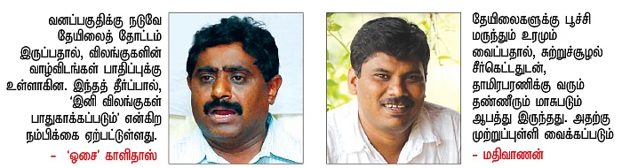 மாறப் போகுது மாஞ்சோலை எஸ்டேட்!