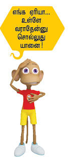 ஒற்றைக் கொம்பு... உதைத்தால் வம்பு!