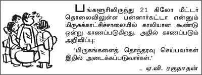 பிட்ஸ் 