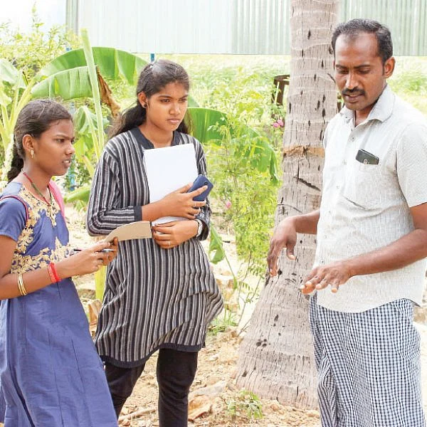 தேனே... தேனே!