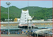 தினமும் திருப்பதிக்கு துளசி!