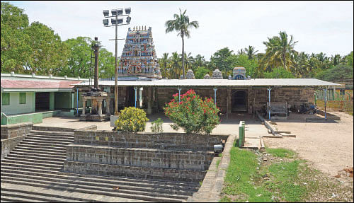 கால பைரவருக்கு மிளகுத் திரி தீபம்!