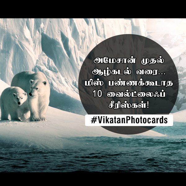 அமேசான் முதல் ஆழ்கடல் வரை... மிஸ் பண்ணக்கூடாத 10 வைல்ட்லைஃப் சீரிஸ்! #VikatanPhotoCards