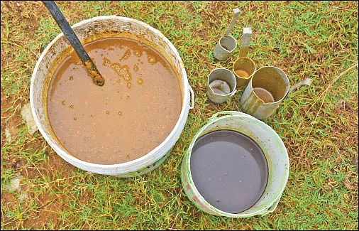 பூங்கார் கொடுத்த பரிசு! - 1 ஏக்கர்... 90 நாள்கள்... 1,813 கிலோ நெல் மகசூல்!