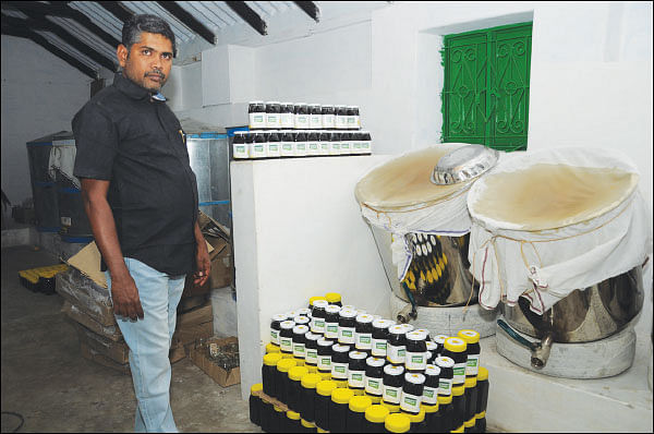 கொஞ்சம் ப்ளஸ்... நிறைய லாபம்! - தித்திக்கும் லாபம் தரும் தேன்! - 12