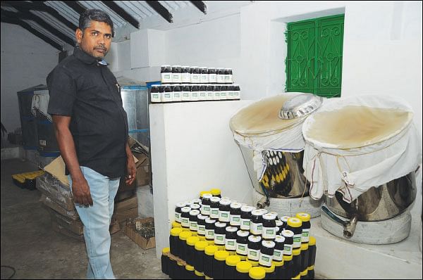 கொஞ்சம் ப்ளஸ்... நிறைய லாபம்! - தித்திக்கும் லாபம் தரும் தேன்! - 12