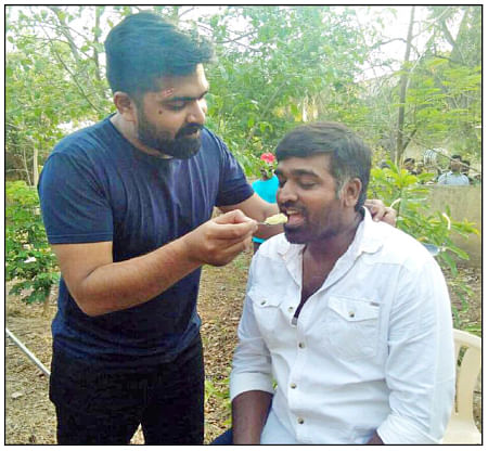 மிஸ்டர் மியாவ்