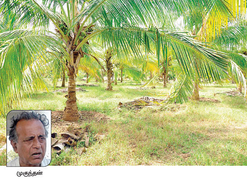 நீங்கள் கேட்டவை