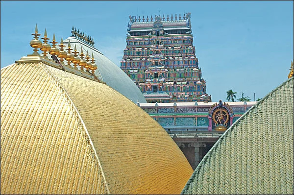 சிந்தையை மகிழ்விக்கும் சிதம்பர சித்திரங்கள்!