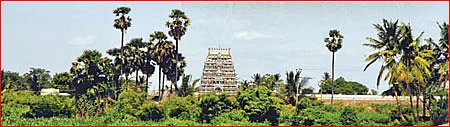 திருப்பட்டூர் அற்புதங்கள்!