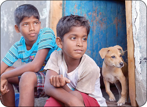 நம்ம சினிமா காக்கா முட்டை