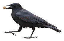 கேள்வி - பதில்