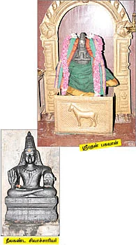 தேவாரத் திருவுலா!