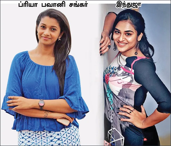 மிஸ்டர் மியாவ்