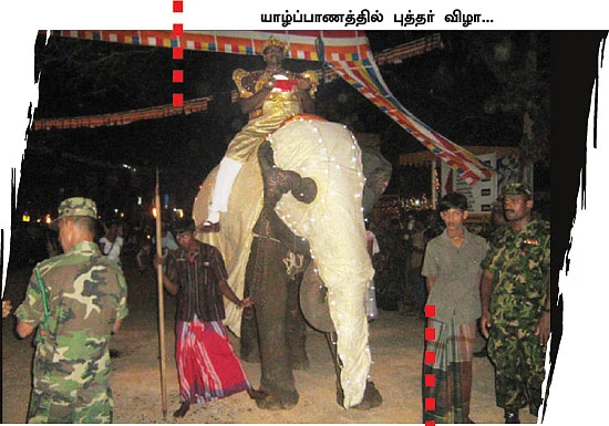புலித்தடம் தேடி...