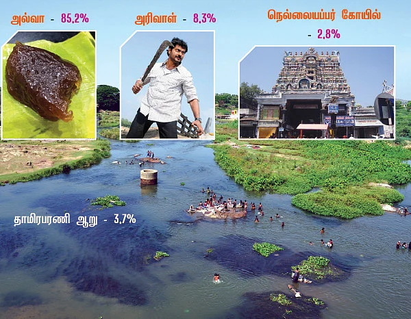 சர்வே கார்னர்!