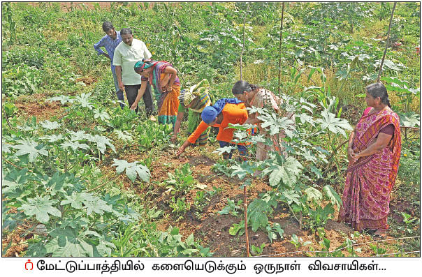 ஒரு நாள் விவசாயி! பருவம் - 2 - அசத்தலான இயற்கைப் பண்ணை!