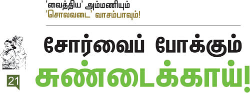 வைத்திய அம்மணியும் சொல்வடை வாசம்பாவும்-21