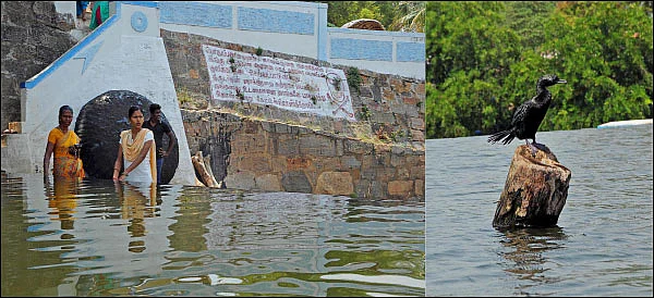 மிரட்டாத பரிசல், திகட்டாத மீன் வறுவல்... அலட்டாத அருவி... - கொடிவேரி ஸ்பெஷல்!