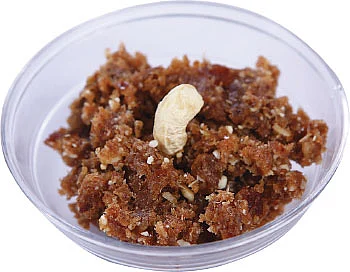 30 வகை குட்டீஸ் ரெசிப்பி