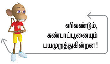 வீரயுக நாயகன் வேள்பாரி - 40