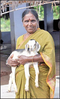 விவசாயம் தர்ற திருப்தி வேற எதுல கிடைக்கும்?