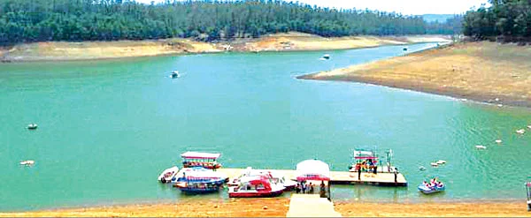 விகடன் சாய்ஸ்