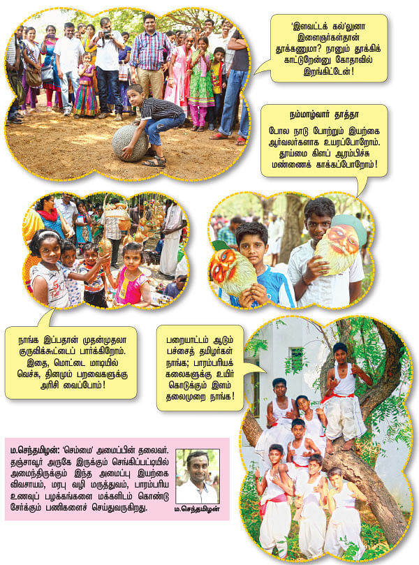 பரவசம் தந்த பிரண்டைத் திருவிழா!
