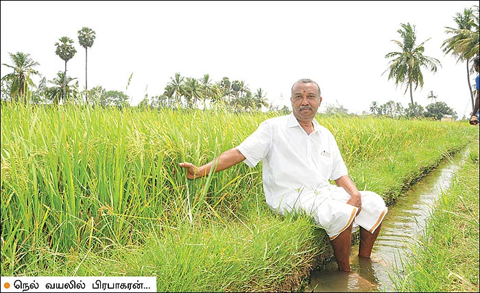 அன்று தொழிலதிபர்... இன்று இயற்கை விவசாயி!