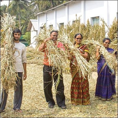 ஒரு நாள் விவசாயி! - பருவம்-2