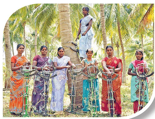 தென்னை ஏறும் தென்றல்கள்!