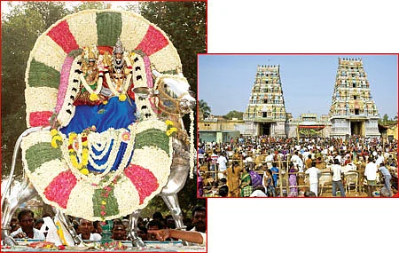 கோ மாதா... நம் குல மாதா!