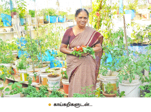 வீட்டுக்குள் விவசாயம் - 1