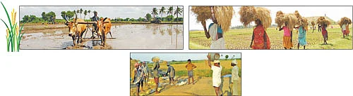 கடவுள் எனும் விவசாயி!