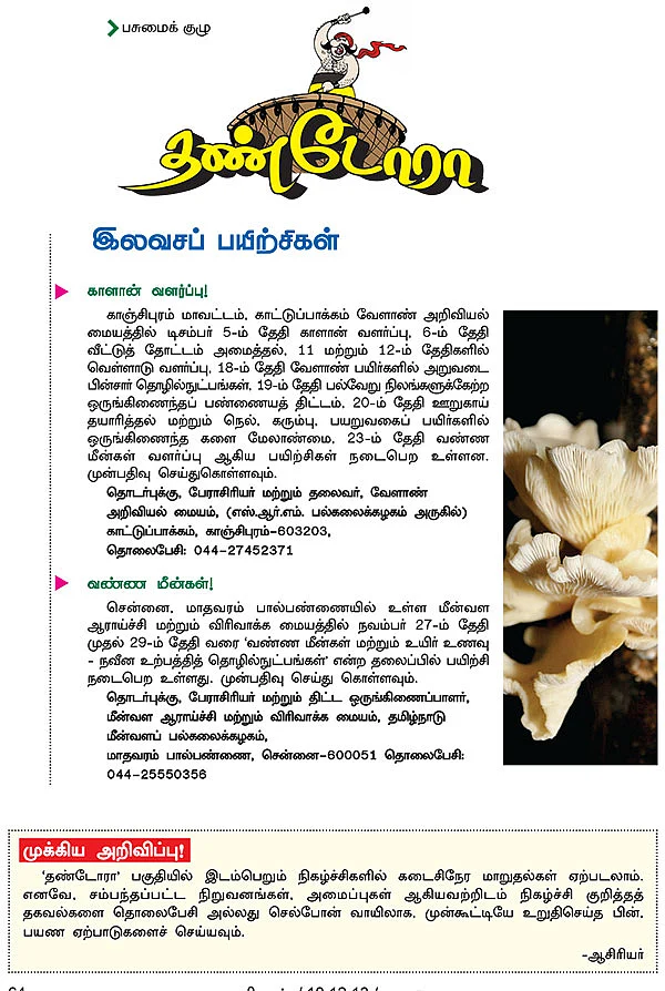 தண்டோரா