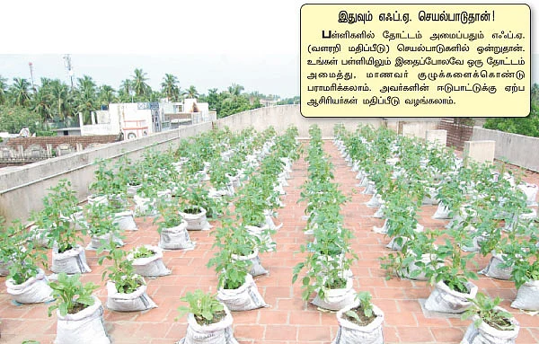 பாடம் படிக்கும் மாடிச் செடிகள் !