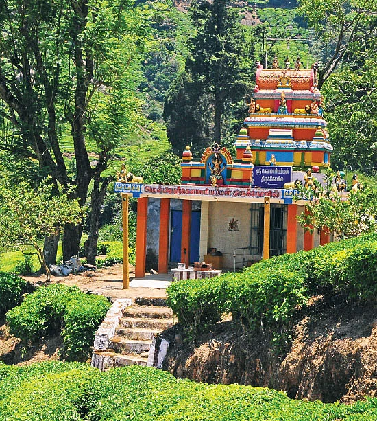 வாழ்வுக்கு வழிகாட்டும் மேகமலை முருகன்