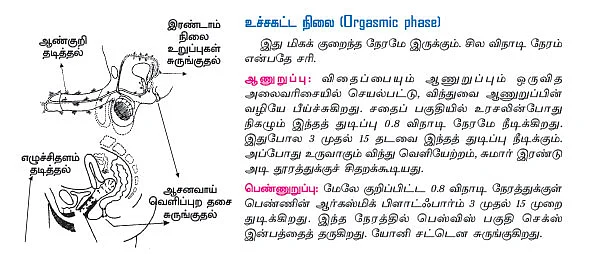 அந்தப்புரம் - 17