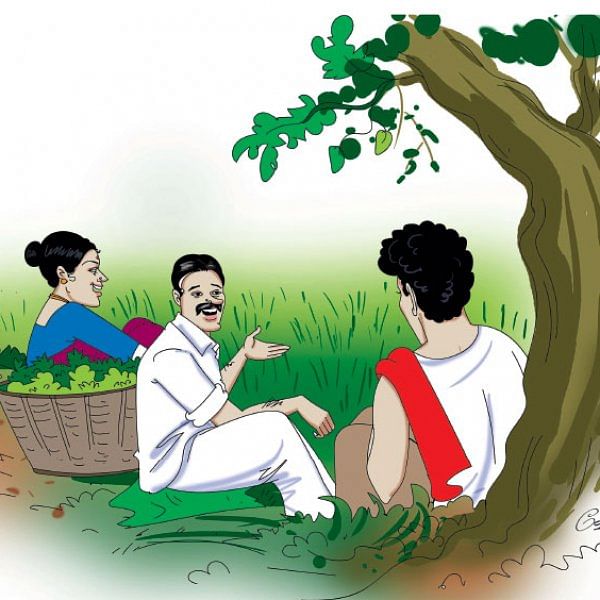 மீன்கள், கோழிகள் வளர்ப்புக்கு மானியம்!