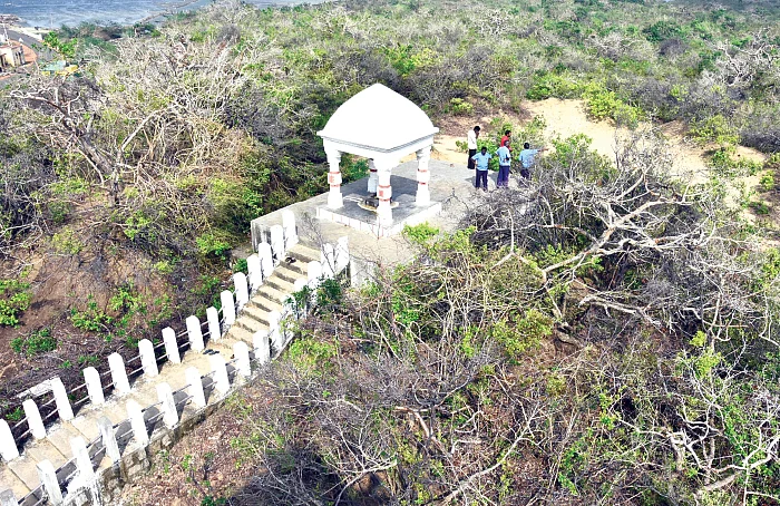 கொடும் பாலையான கோடியக்கரை சரணாலயம்! - கஜா கலைத்த வனம்... மீட்குமா அரசு?