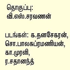 எக்ஸாம் டிப்ஸ்... எஸ்.ஏ.இனி ஈஸிதான் !