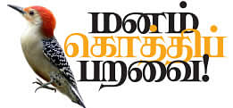 மனம் கொத்திப் பறவை! - 19