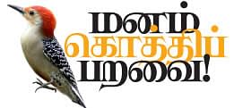 மனம் கொத்திப் பறவை! - 19